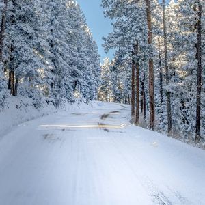 Meet your Posher, Carol
